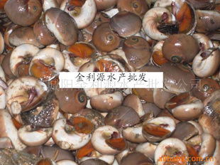 青島城陽金利源水產(chǎn)批發(fā)公司——水產(chǎn)品優(yōu)質(zhì)供應與市場定位