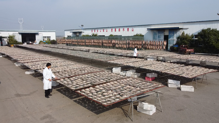 大冶 做足漁業文章，盤活水產經濟，打造特色農產品新名片